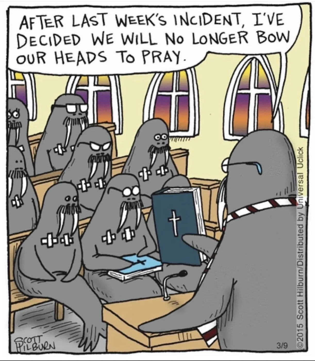 Cartoon of a walrus congregation with their tusks stuck in the pews. The walrus pastor says, “After last week’s incident, I’ve decided we will no longer bow our heads to pray.”